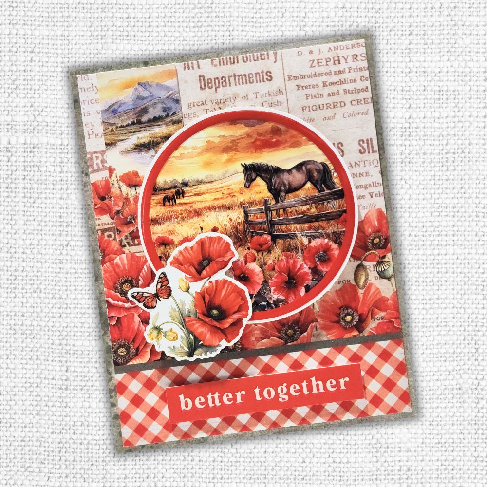 Poppy Garden 6x8" Quick Cards Collection 34671 - Paper Rose Studio