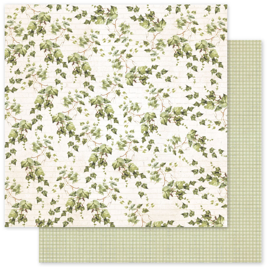 Afternoon in the Park Basics B 12x12 Paper (12pc Bulk Pack) 34419 - Paper Rose Studio