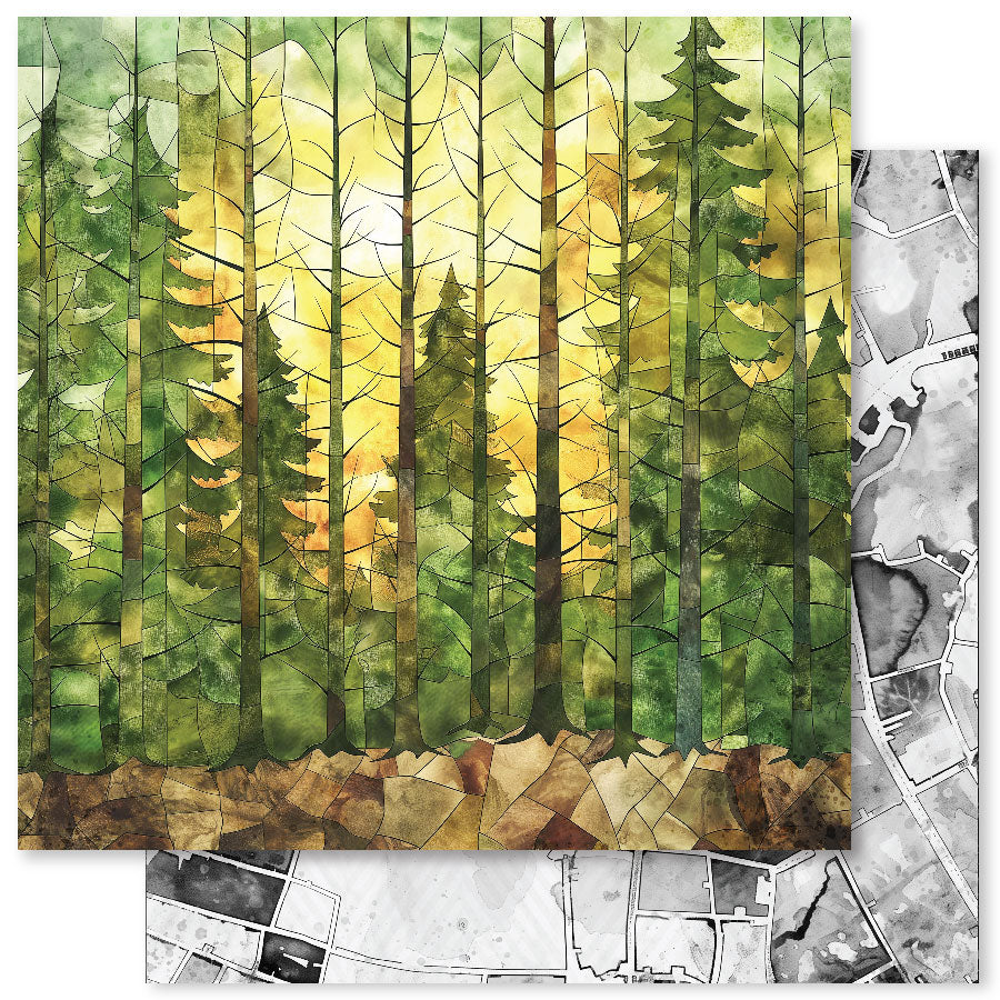 Animal Kingdom C 12x12 Paper (12pc Bulk Pack) 32088 - Paper Rose Studio