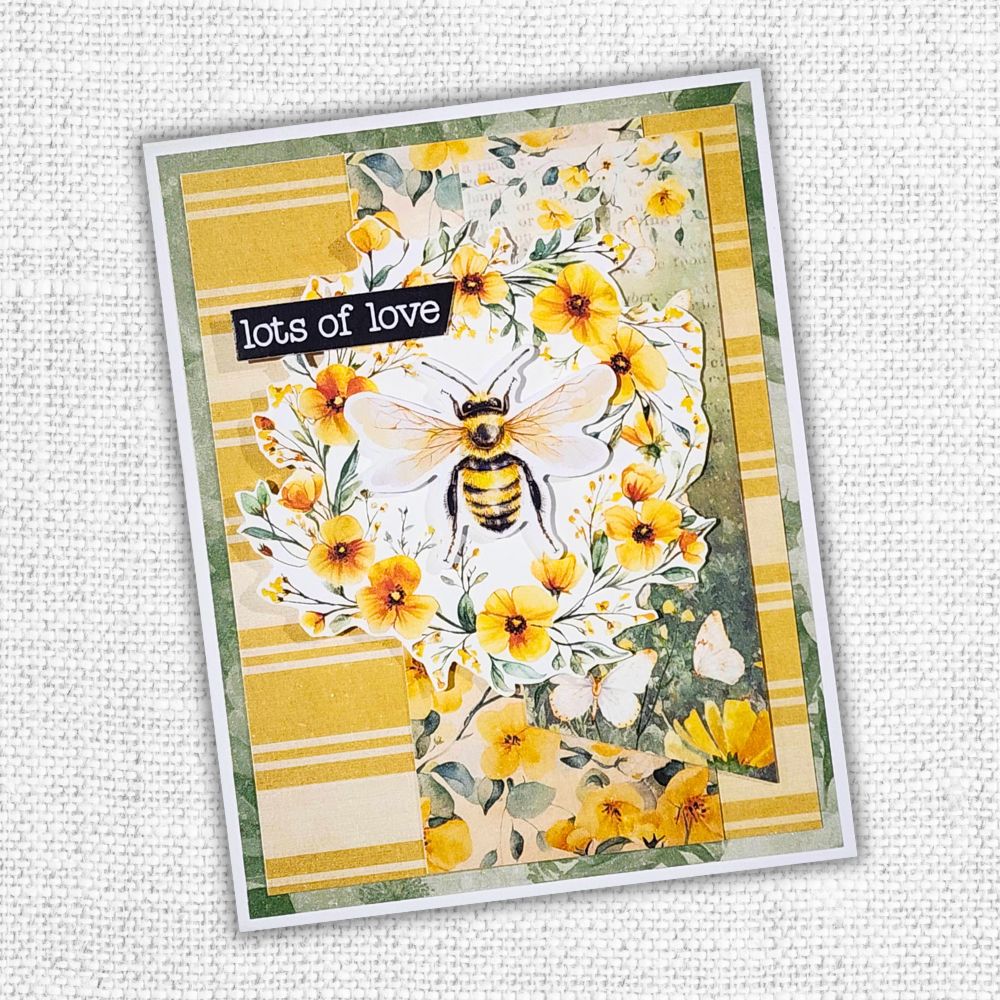 Bees & Butterflies Basics 12x12 Paper Collection 33561 - Paper Rose Studio