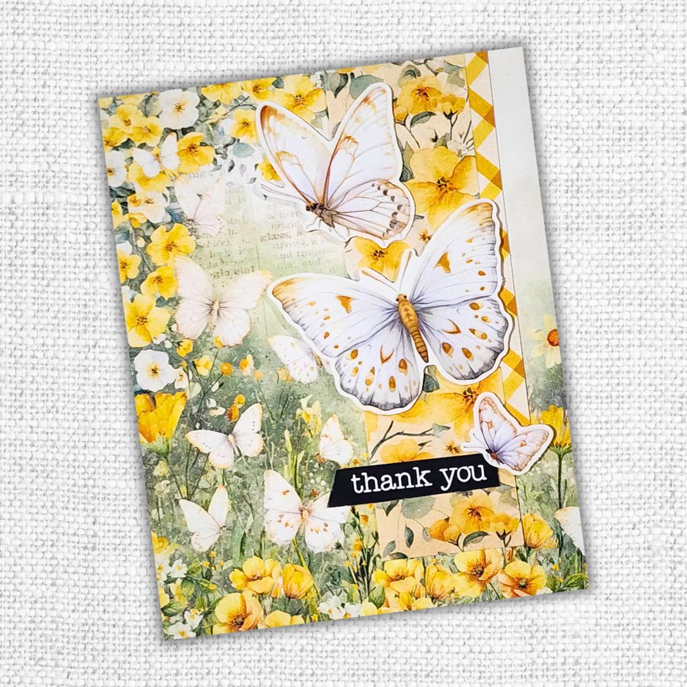 Bees & Butterflies Basics 12x12 Paper Collection 33561 - Paper Rose Studio