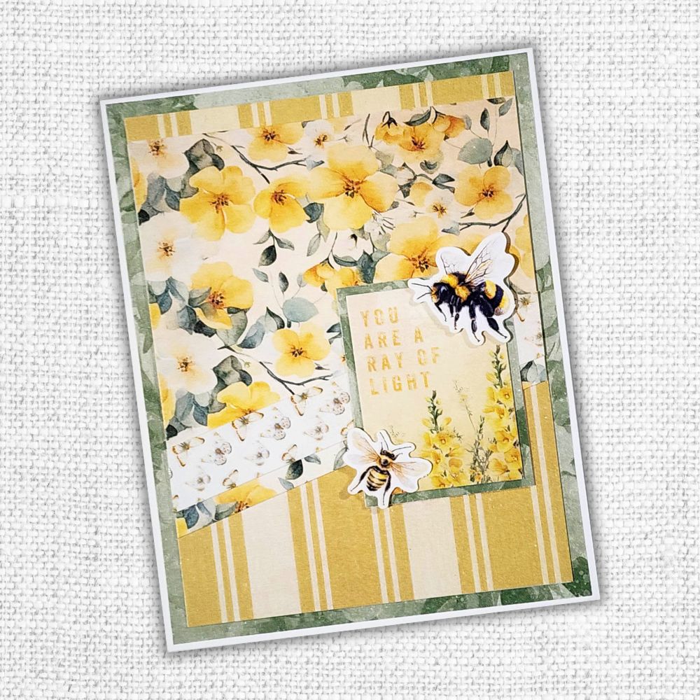 Bees & Butterflies Basics 12x12 Paper Collection 33561 - Paper Rose Studio