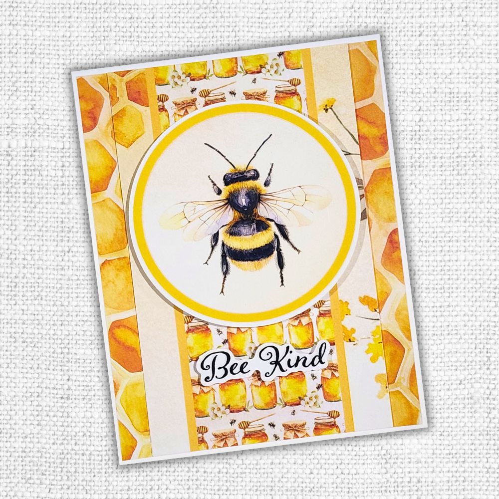 Bees & Butterflies 6x8" Quick Cards Collection 33594 - Paper Rose Studio