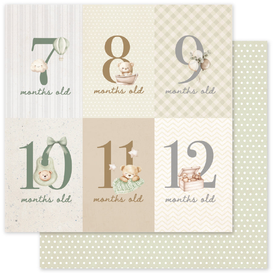 Boho Baby Basics D 12x12 Paper (12pc Bulk Pack) 35113 - Paper Rose Studio