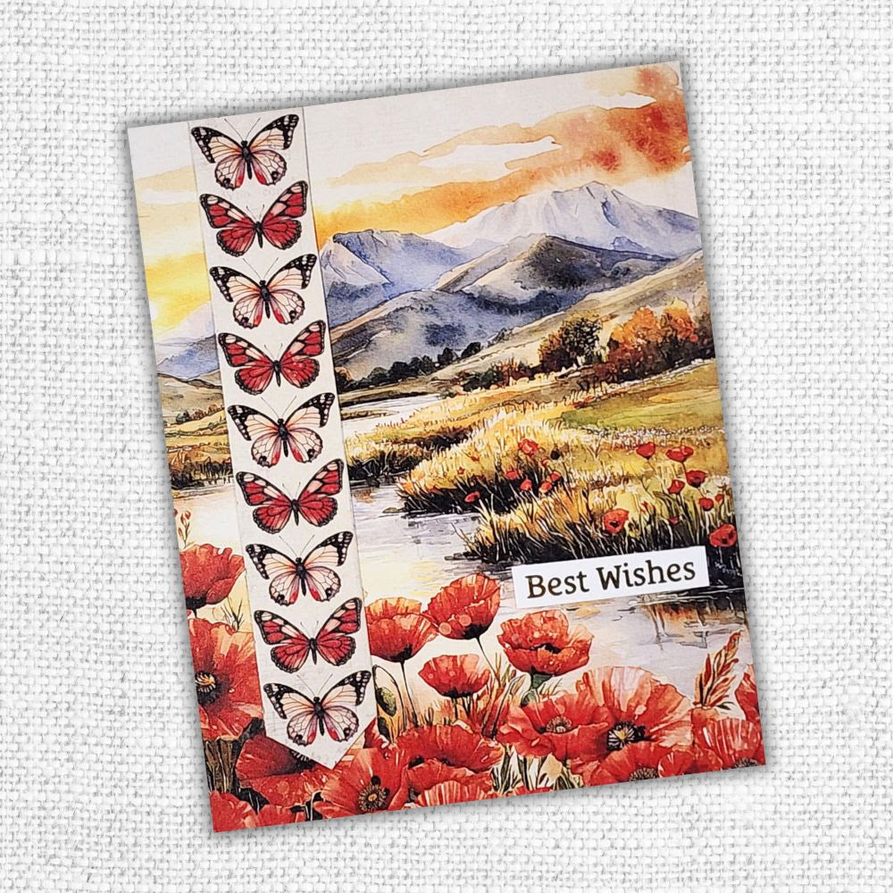 Poppy Garden 12x12 Paper Collection 34620 - Paper Rose Studio