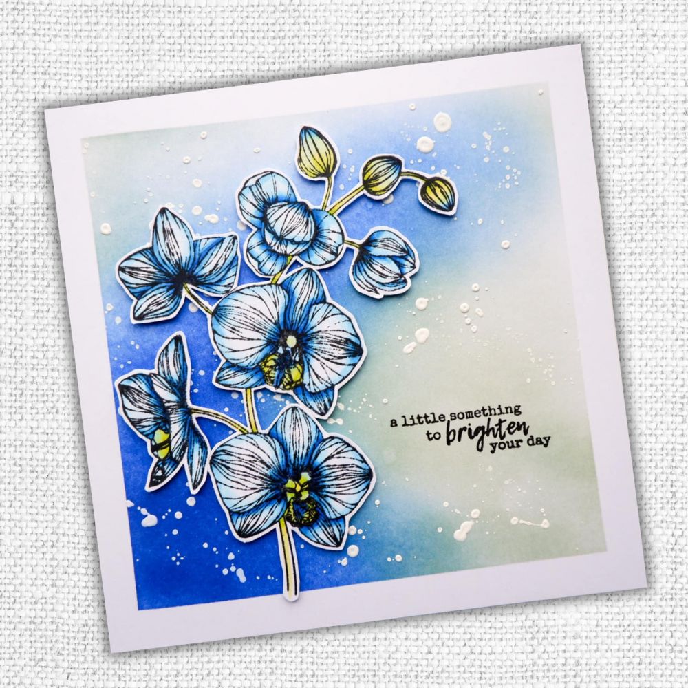 Daisy Days 4x4" Clear Stamp Set 18490 - Paper Rose Studio