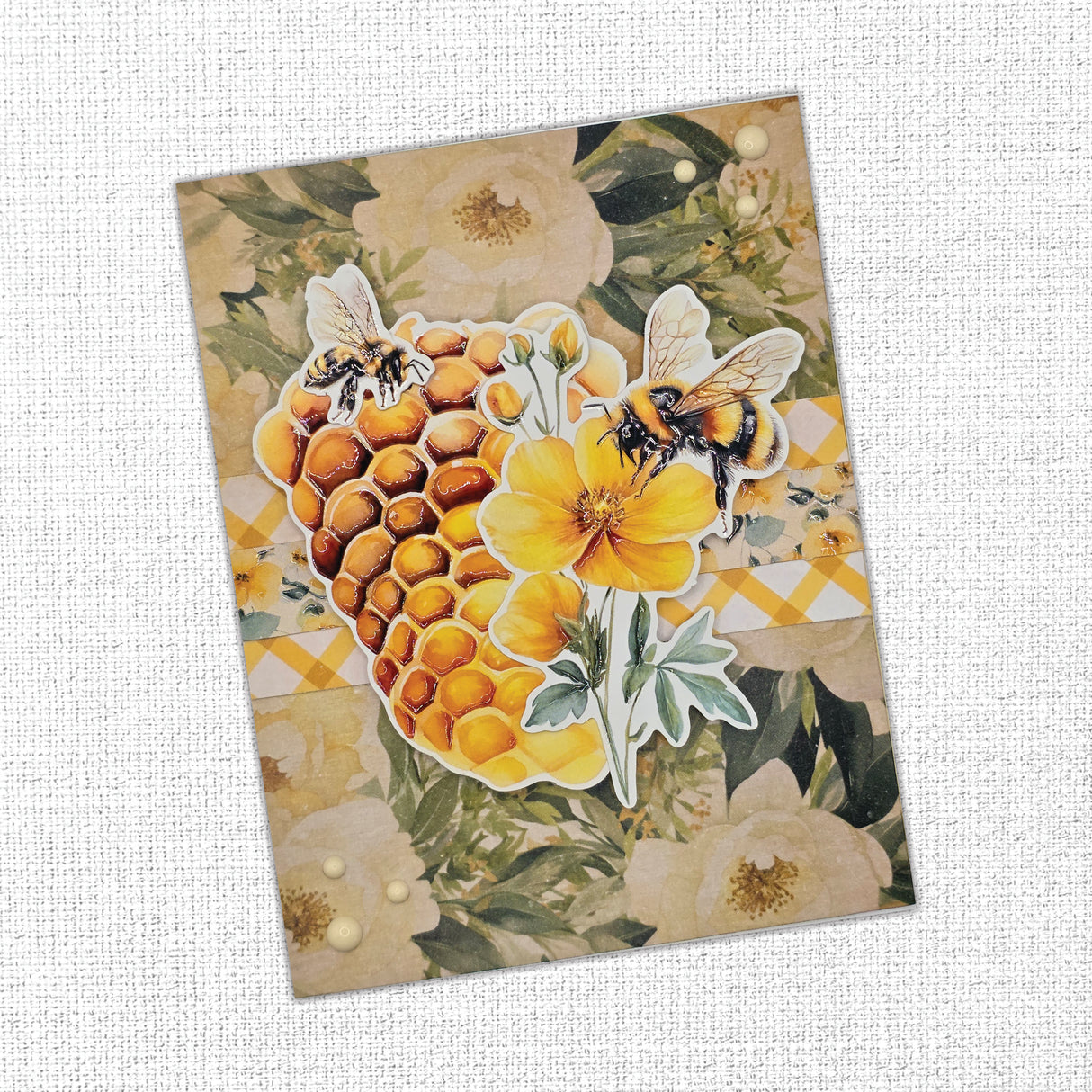 Bees & Butterflies 6x6 Paper Collection 33558
