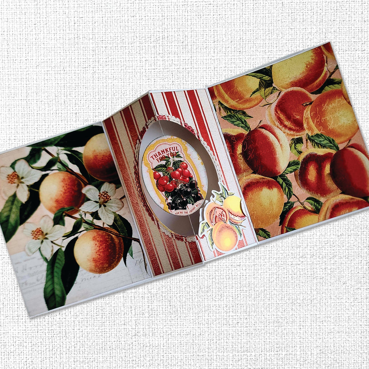 Meadowbrook Farm Basics Embossed Die Cuts 35082 - Paper Rose Studio