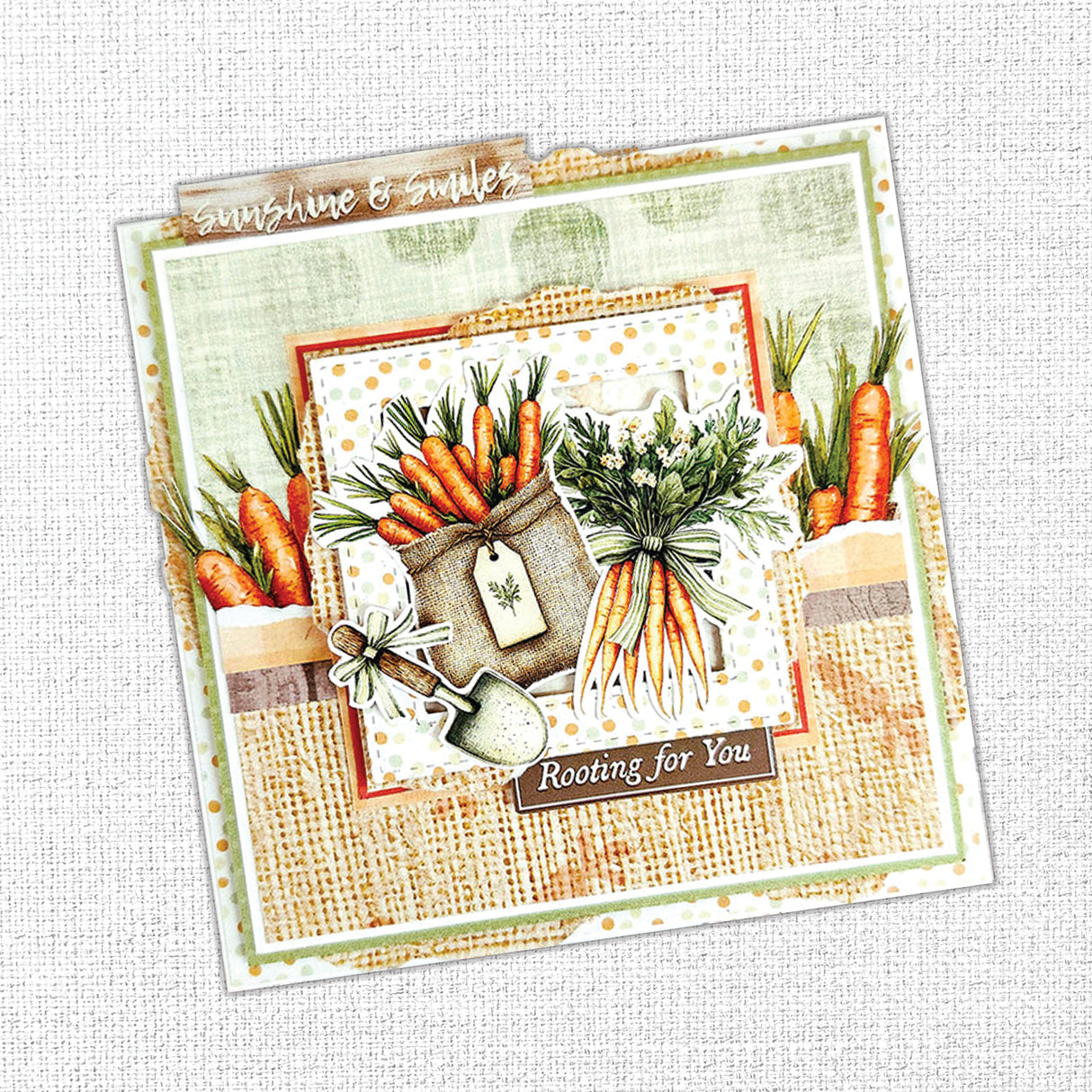 The Carrot Patch Patterns 12x12 Paper Collection 36442