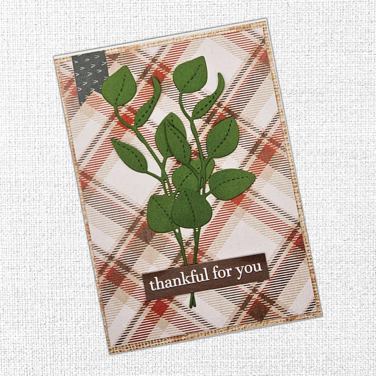 The Carrot Patch Patterns 12x12 Paper Collection 36442