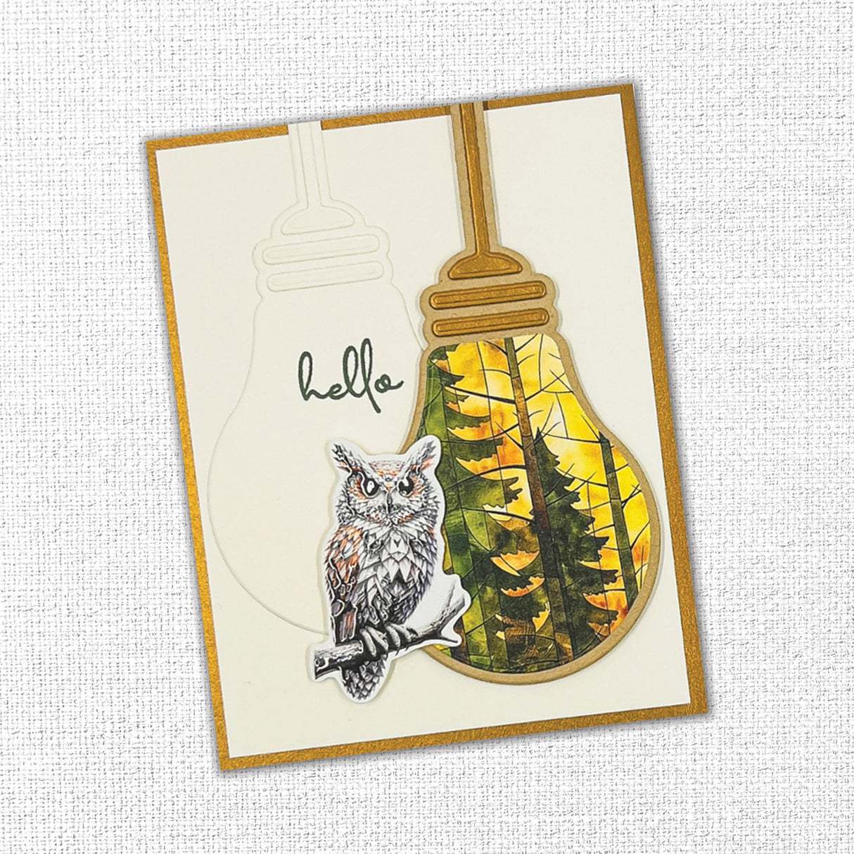 Animal Kingdom 1.0 Embossed Die Cuts 32106 - Paper Rose Studio