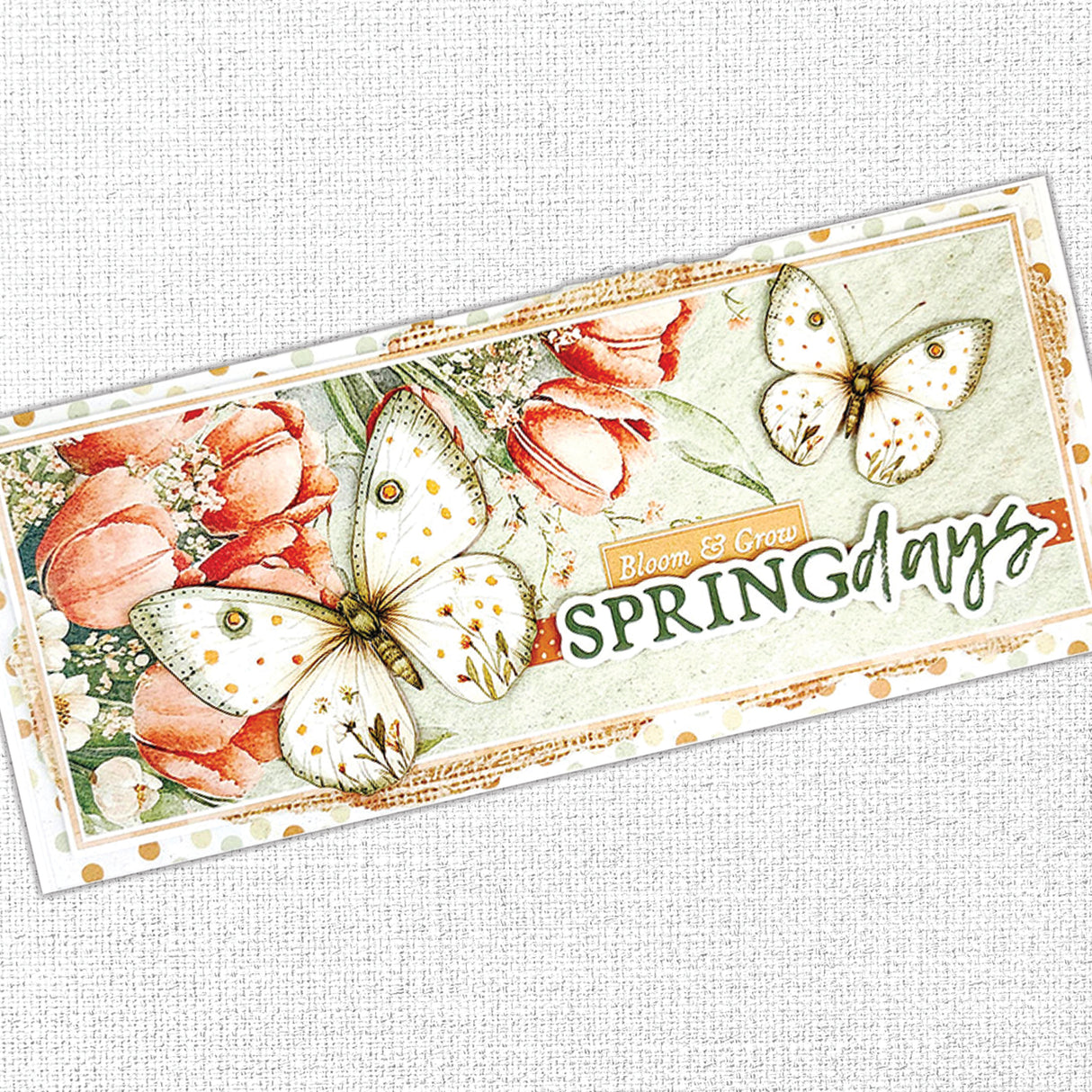 The Carrot Patch Patterns 12x12 Paper Collection 36442