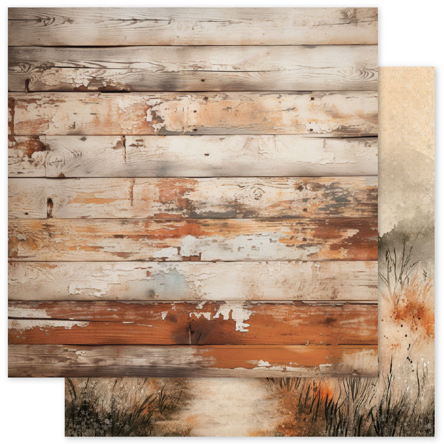 Halloween Hollow Basics B 12x12 Paper (12pc Bulk Pack) 35397 - Paper Rose Studio