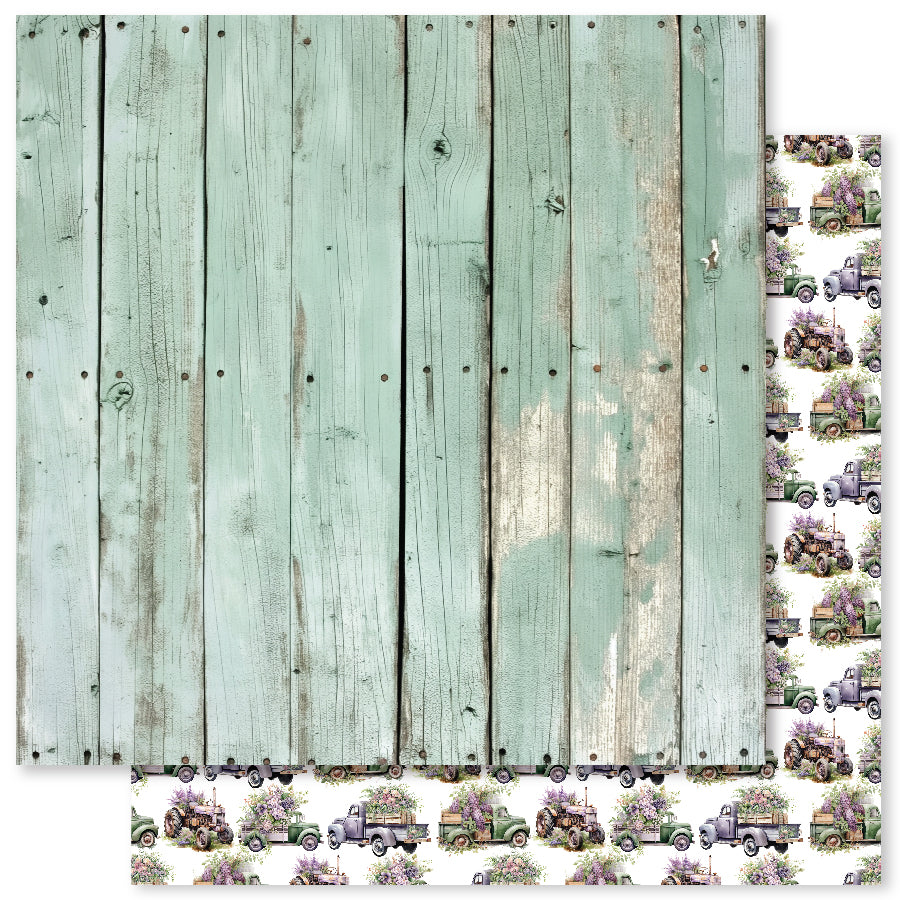 Lavender & Roses D 12x12 Paper (12pc Bulk Pack) 32175 - Paper Rose Studio