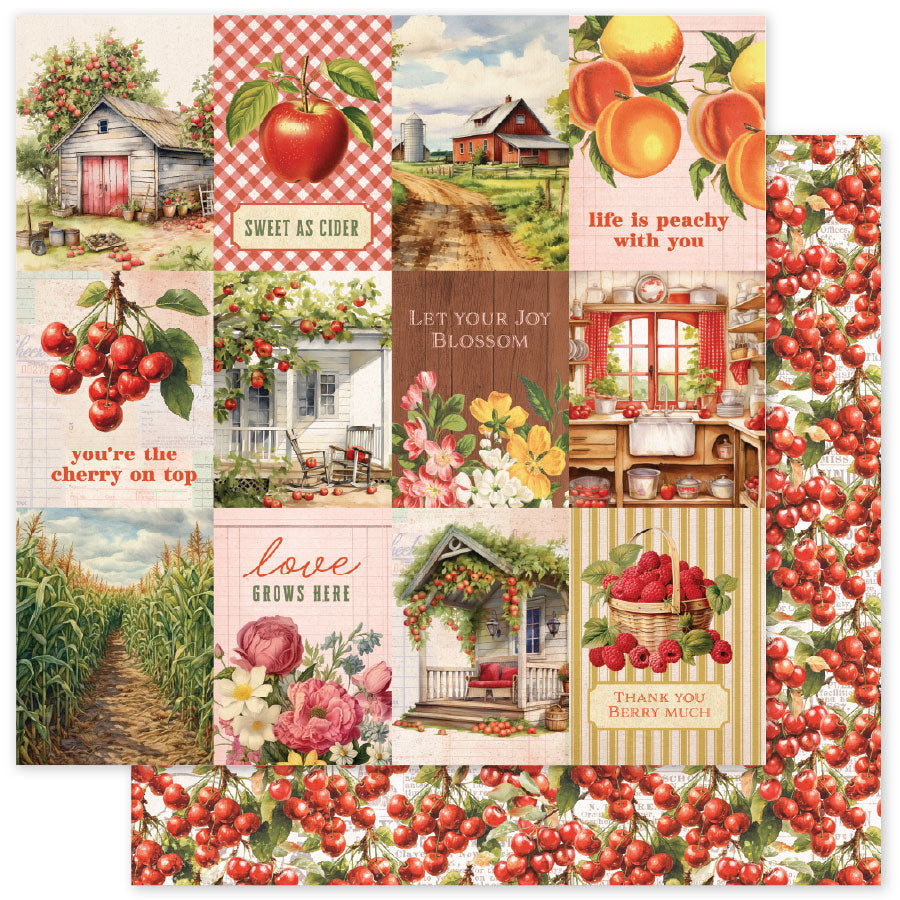 Meadowbrook Farm A 12x12 Paper (12pc Bulk Pack) 35022 - Paper Rose Studio