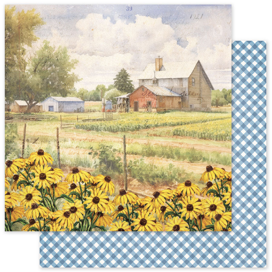 Meadowbrook Farm B 12x12 Paper (12pc Bulk Pack) 35025 - Paper Rose Studio