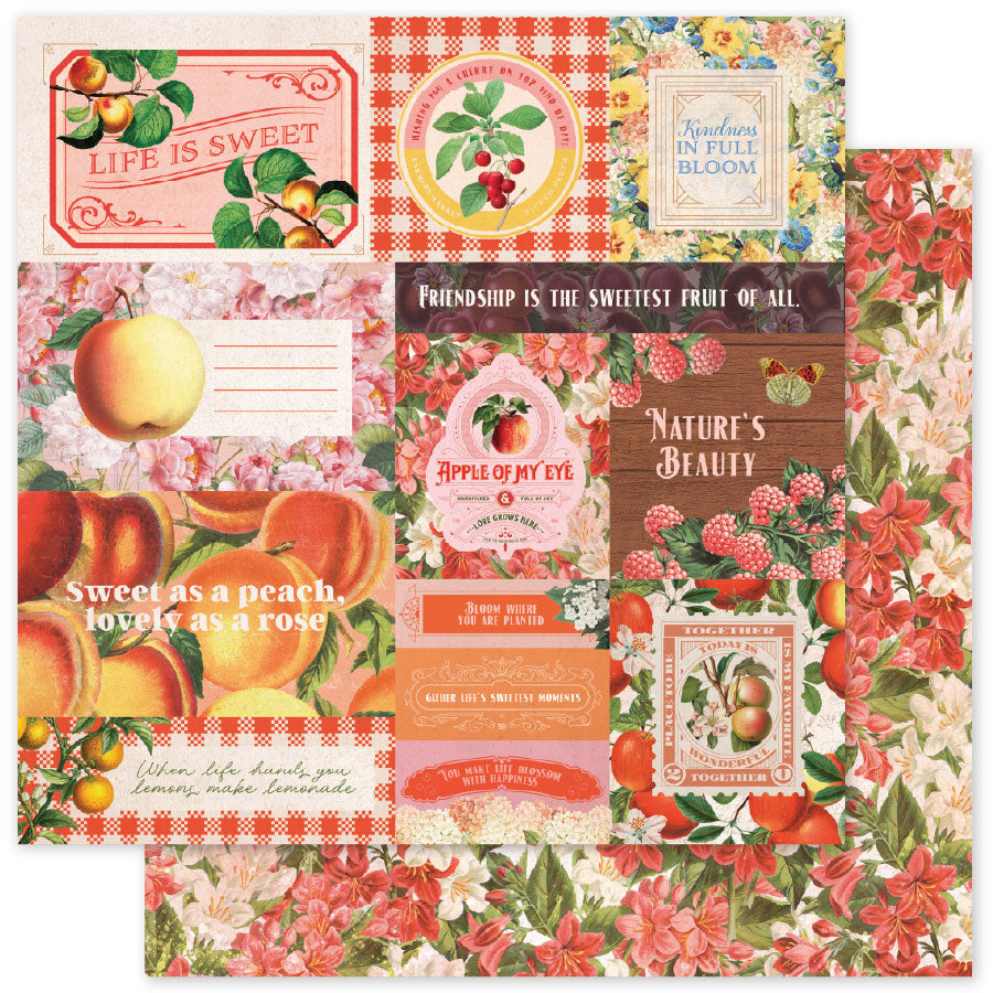Meadowbrook Farm Basics A 12x12 Paper (12pc Bulk Pack) 35046 - Paper Rose Studio