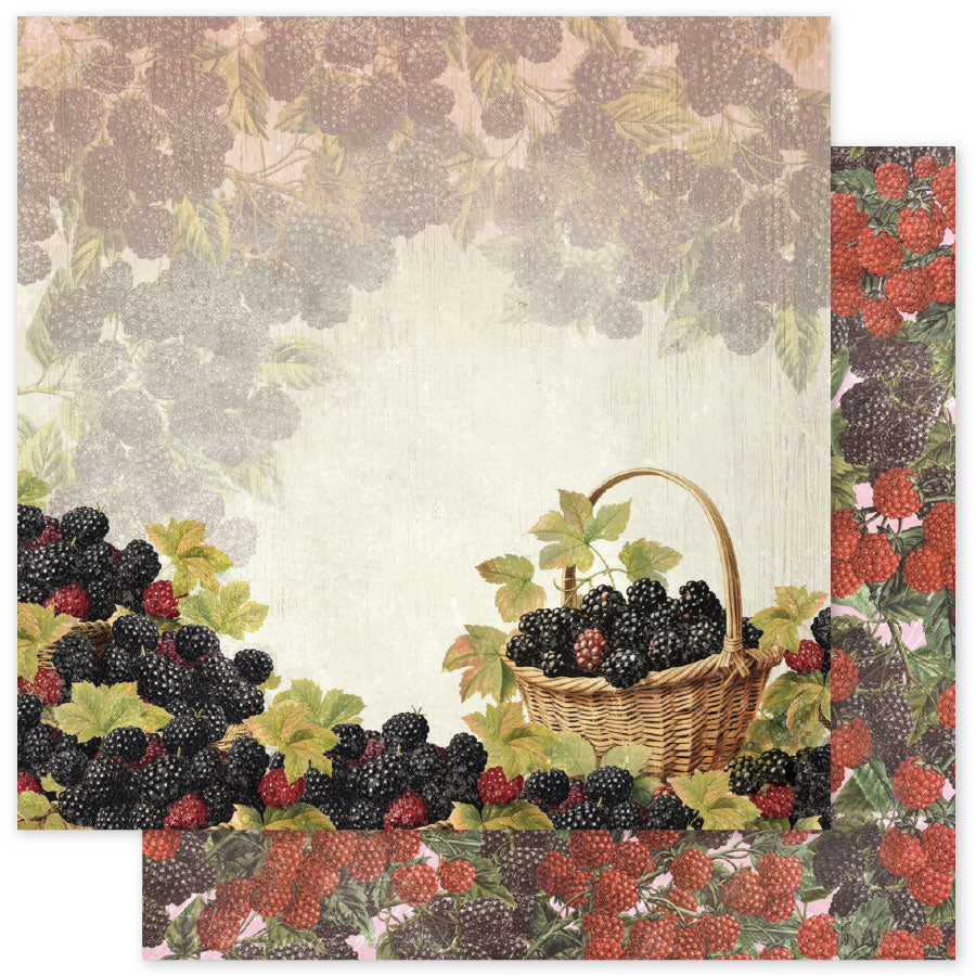 Meadowbrook Farm Basics F 12x12 Paper (12pc Bulk Pack) 35061 - Paper Rose Studio