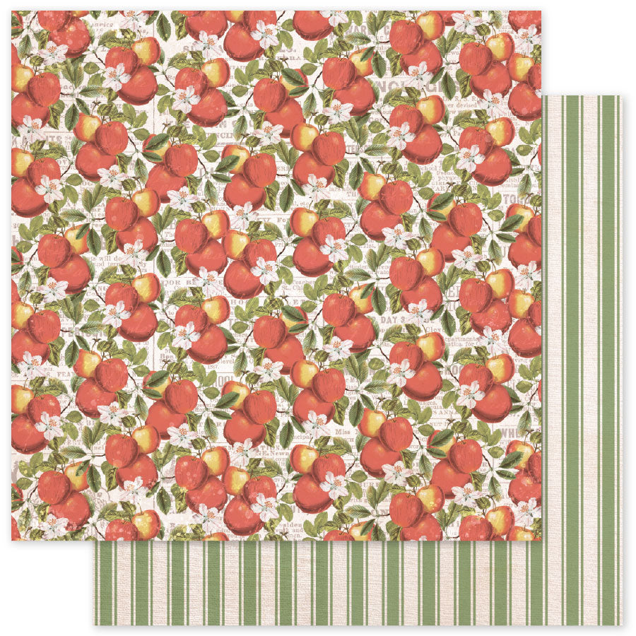 Meadowbrook Farm D 12x12 Paper (12pc Bulk Pack) 35031 - Paper Rose Studio