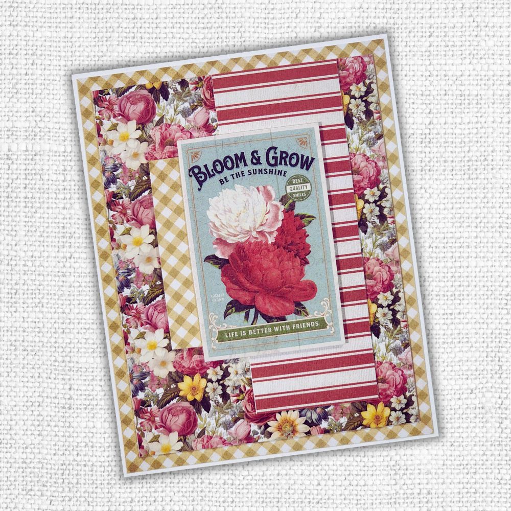 Meadowbrook Farm Patterns 6x6 Paper Collection 35085 - Paper Rose Studio