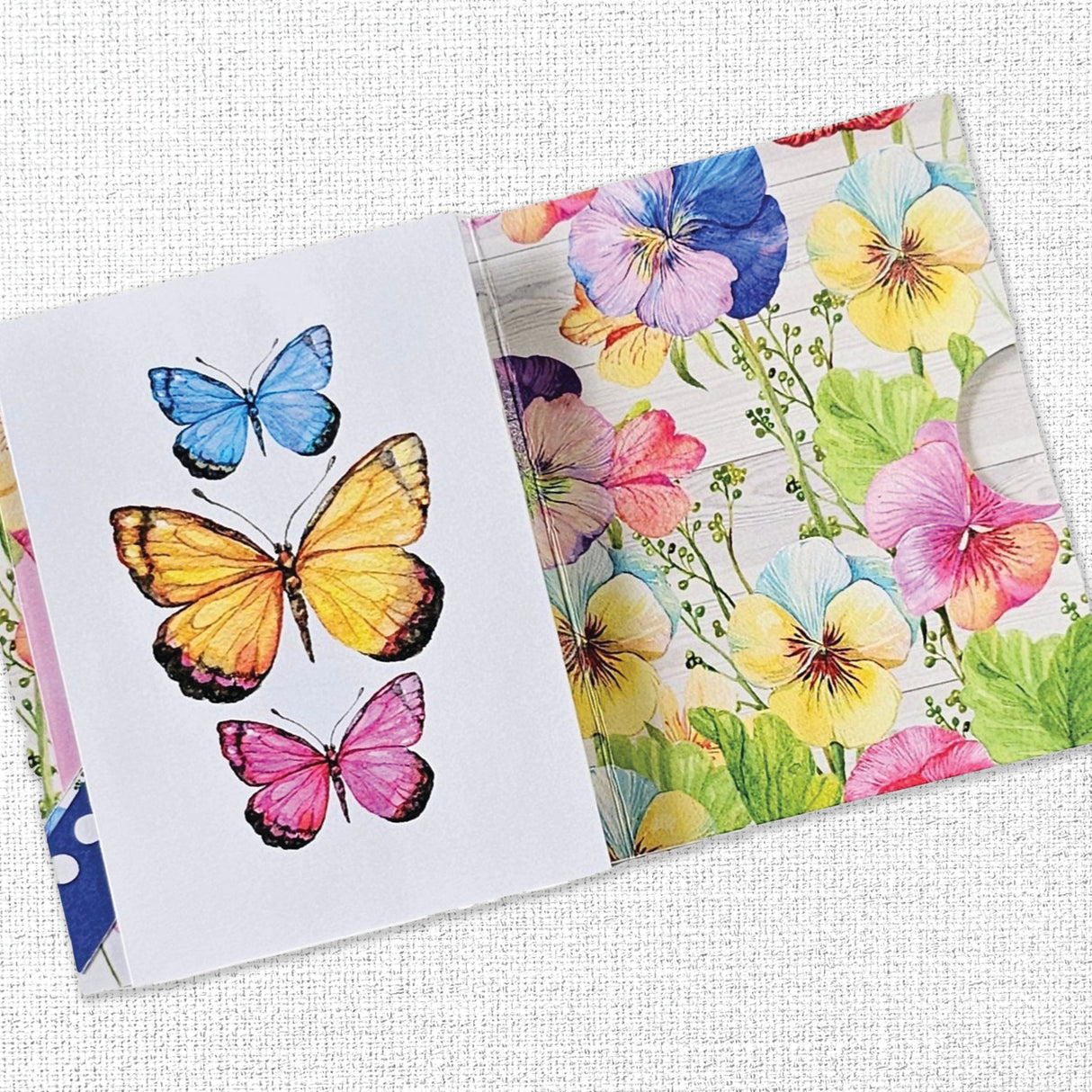 Pansy Garden 12x12 Paper Collection 22303 - Paper Rose Studio