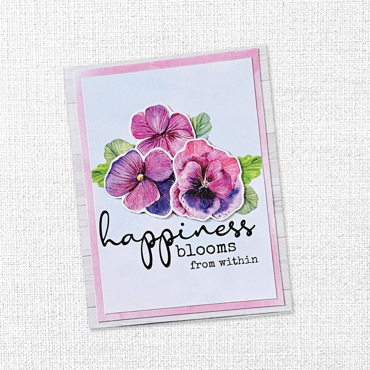 Pansy Garden 12x12 Paper Collection 22303 - Paper Rose Studio