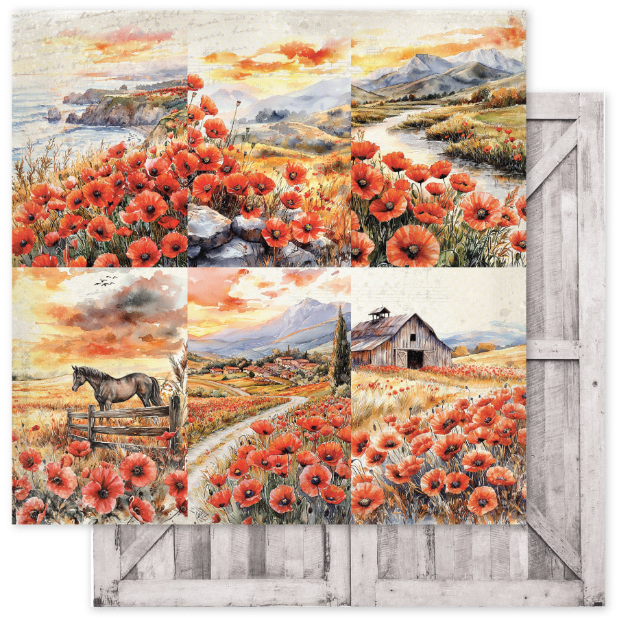 Poppy Garden Basics C 12x12 Paper (12pc Bulk Pack) 34653 - Paper Rose Studio