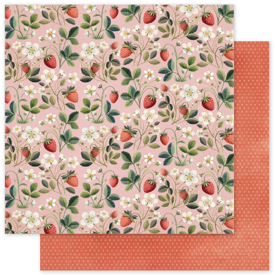 Strawberry Friends B 12x12 Paper (12pc Bulk Pack) 34866 - Paper Rose Studio