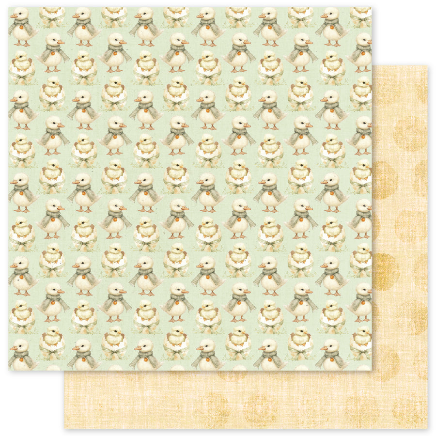 The Carrot Patch Basics D 12x12 Paper (12 pc Bulk Pack) 36298 - Paper Rose Studio