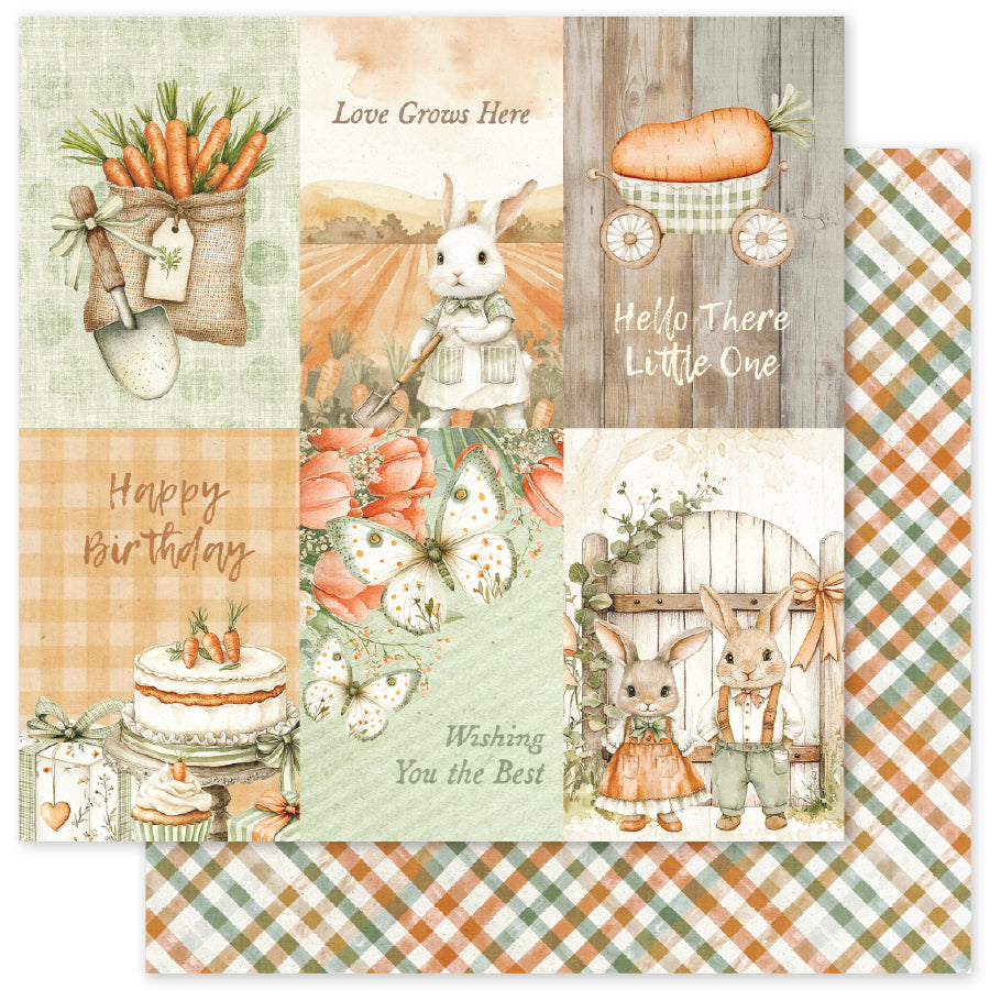 The Carrot Patch C 12x12 Paper (12 pc Bulk Pack) 36262 - Paper Rose Studio