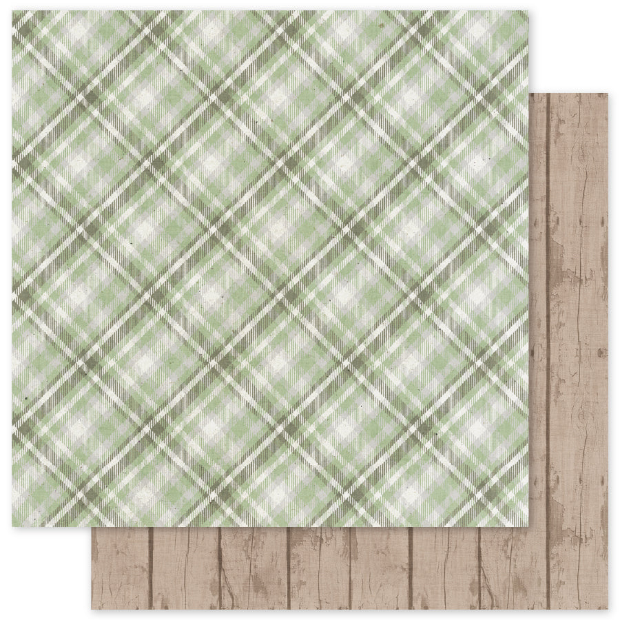 The Carrot Patch Patterns F 12x12 Paper (12 pc Bulk Pack) 36460 - Paper Rose Studio