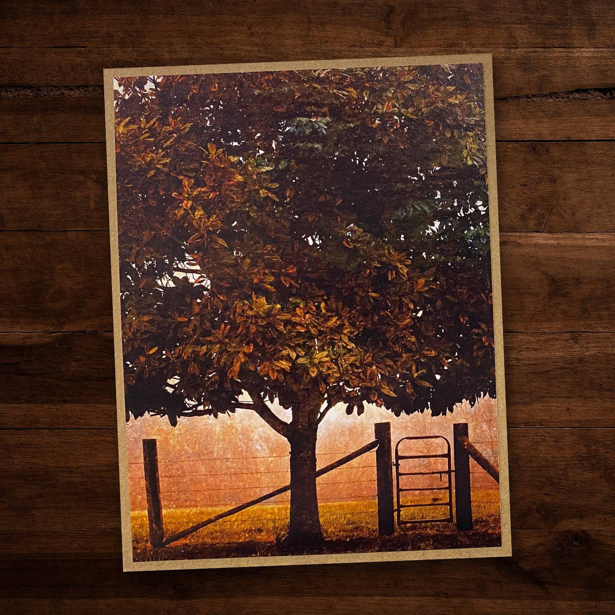 Grunge Landscapes 1.0 6x6 Paper Collection 23572 - Paper Rose Studio