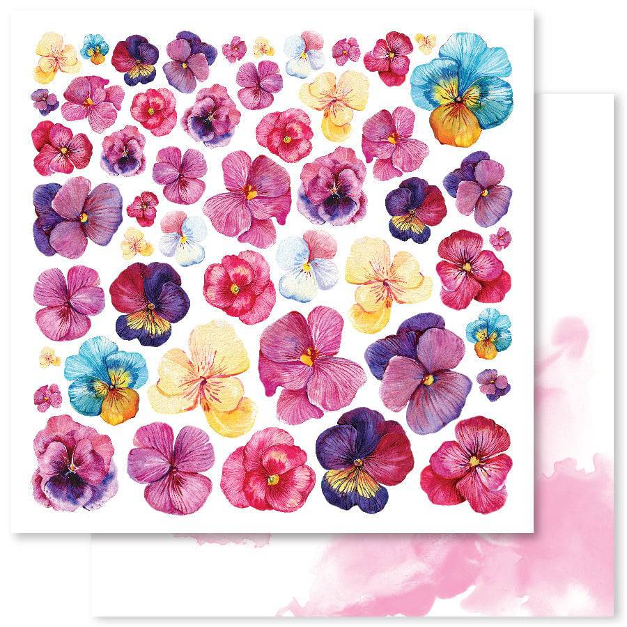 Pansy Garden E 12x12 Paper (12pc Bulk Pack) 22318 - Paper Rose Studio