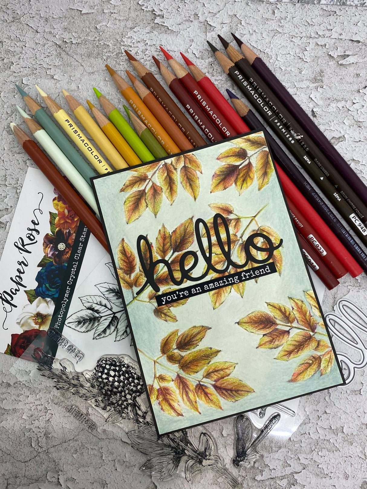 Sketchy Floral - Hello 4x6" Clear Stamp Set 19075 - Paper Rose Studio