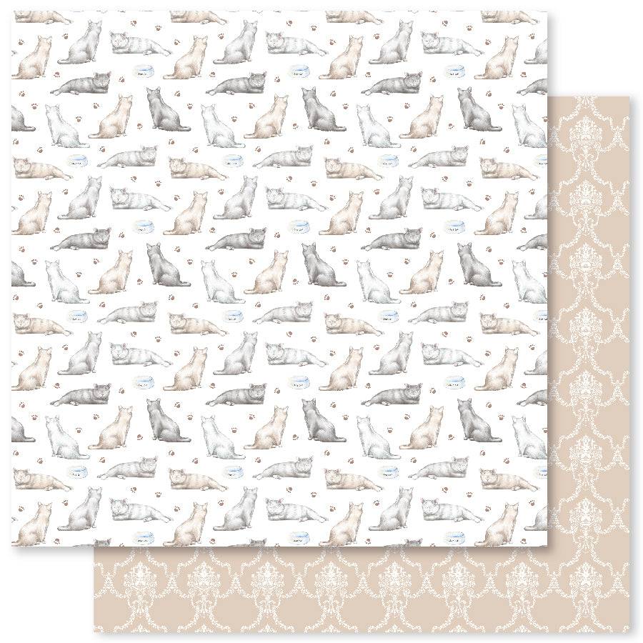 Sunday Afternoon Extras D 12x12 Paper (12pc Bulk Pack) 26179 - Paper Rose Studio