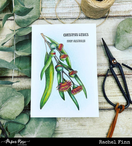 Christmas Wishes - Rachel Finn