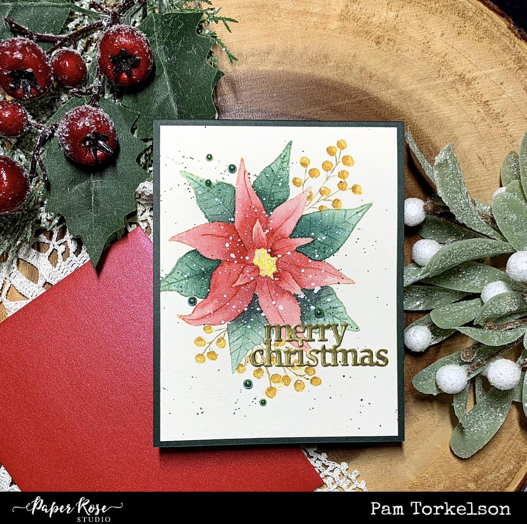 Beautiful Poinsettia - Pam Torkelson