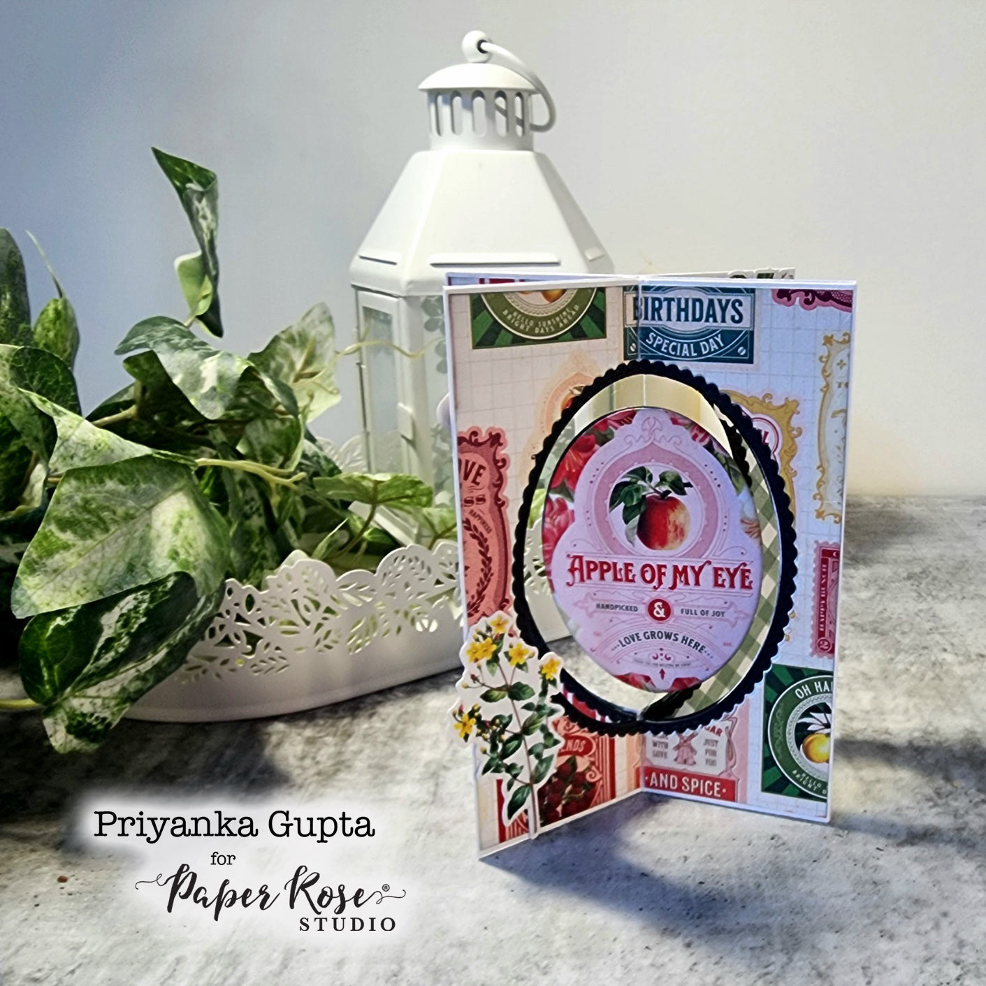 Meadowbrook Farm Spinner Cards - Priyanka Gupta