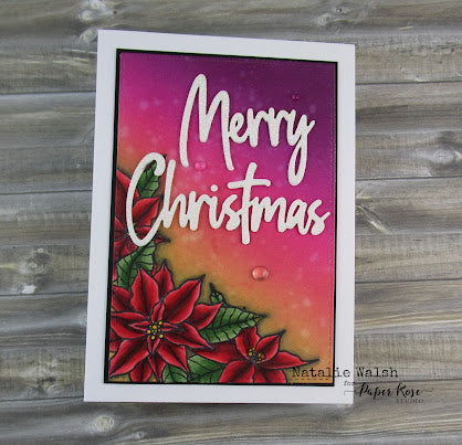 Poinsettia Duo - Natalie Walsh