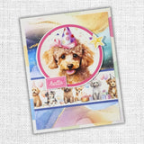 Birthday Fun 6x8" Quick Cards Die Cuts 34755 - Paper Rose Studio