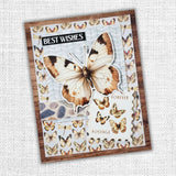 Papercuts Cardmaking Kit - June 2025 Lakeside Memories 34824 - Paper Rose Studio