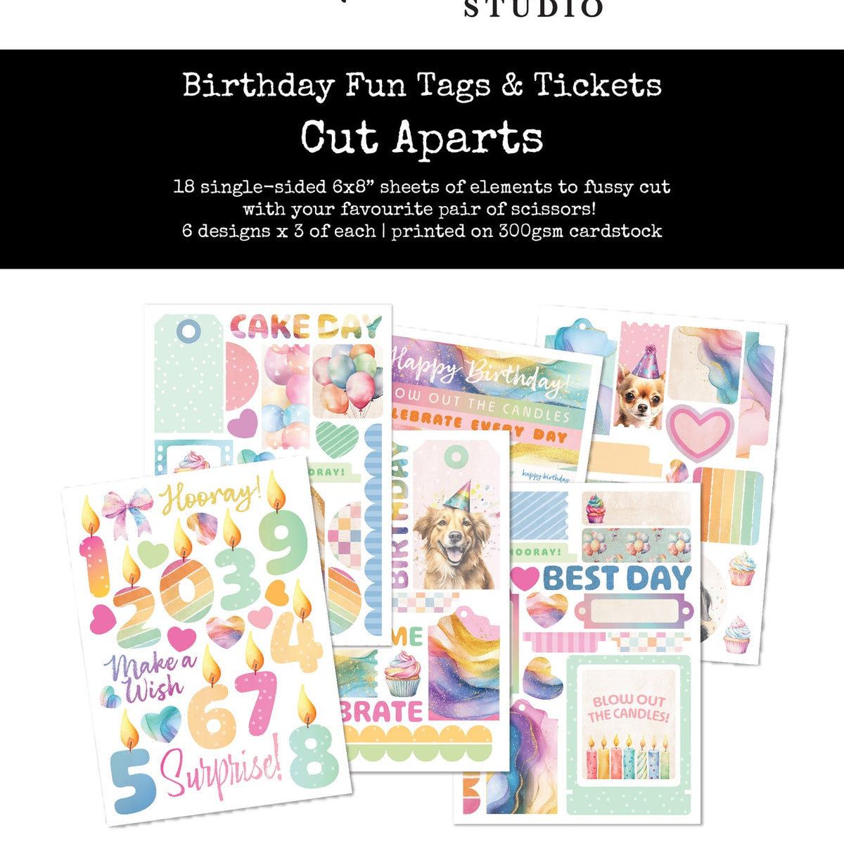 Birthday Fun Tags & Tickets Cut Aparts Paper Pack 33315 – Paper Rose USA