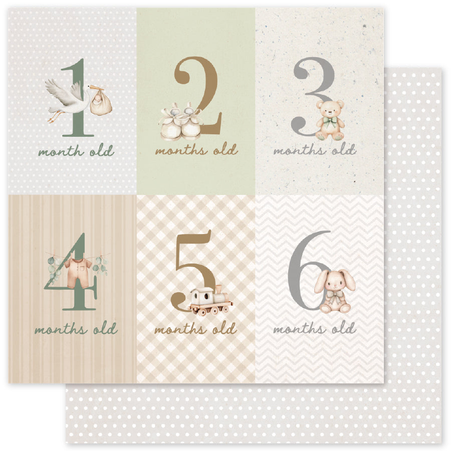 Boho Baby Basics A 12x12 Paper (12pc Bulk Pack) 35104 - Paper Rose Studio