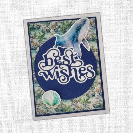 Seaside Memories 6 x 8" Embossed Die Cuts 33798 - Paper Rose Studio