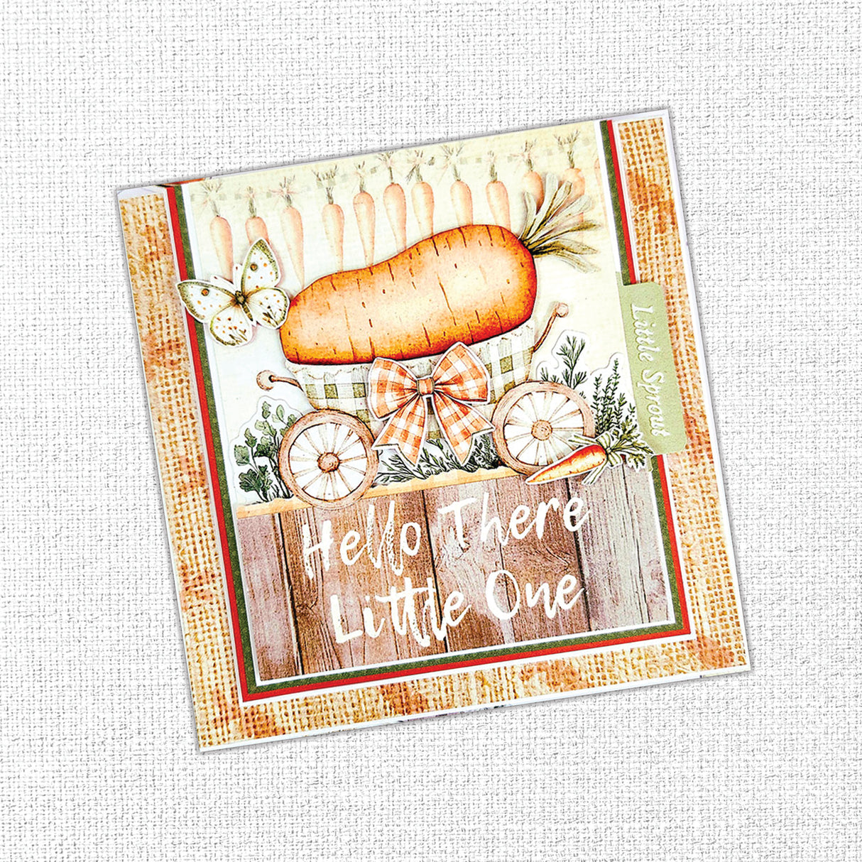 The Carrot Patch Patterns 12x12 Paper Collection 36442