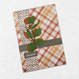 The Carrot Patch Patterns 12x12 Paper Collection 36442