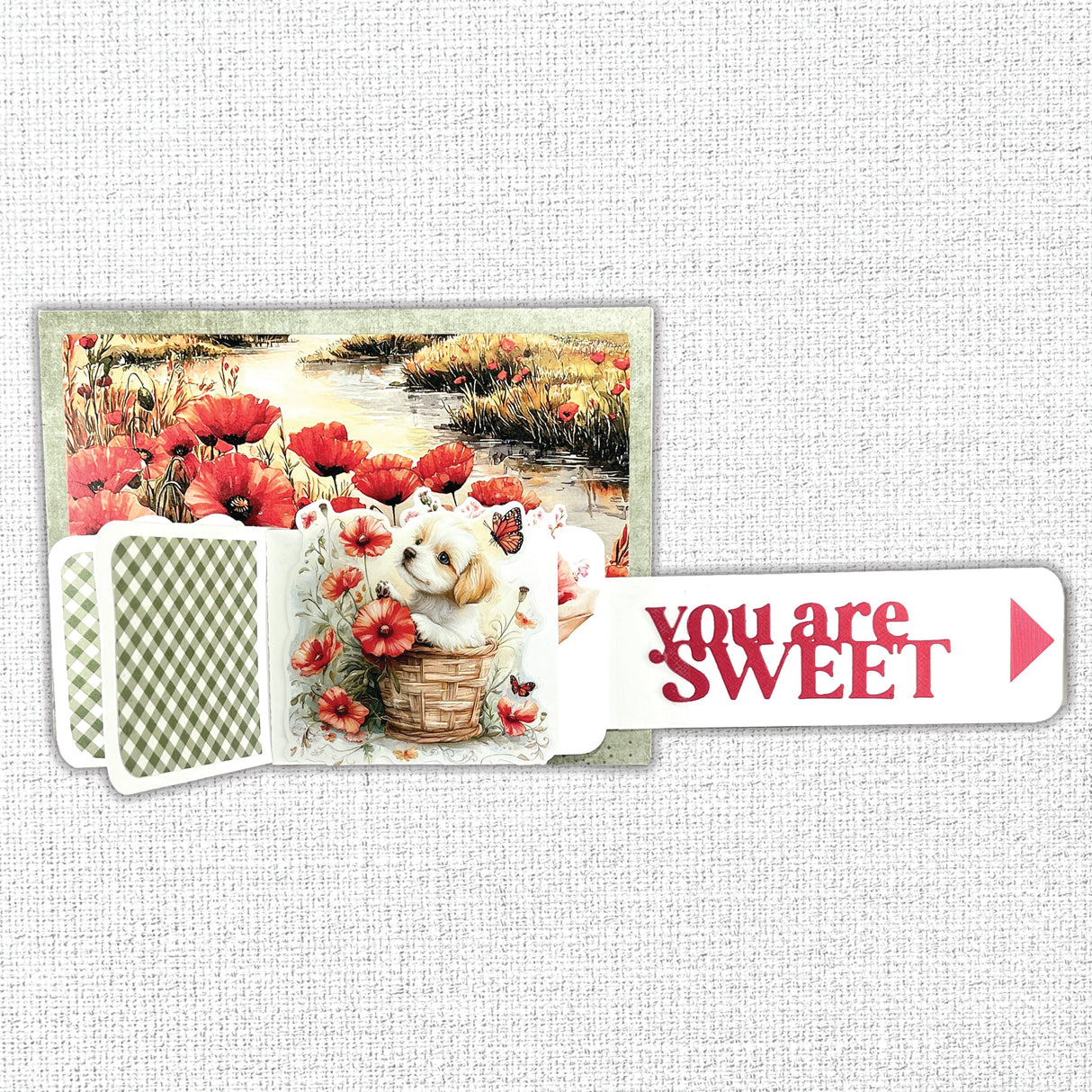 Poppy Garden Basics 6x6 Paper Collection 34641