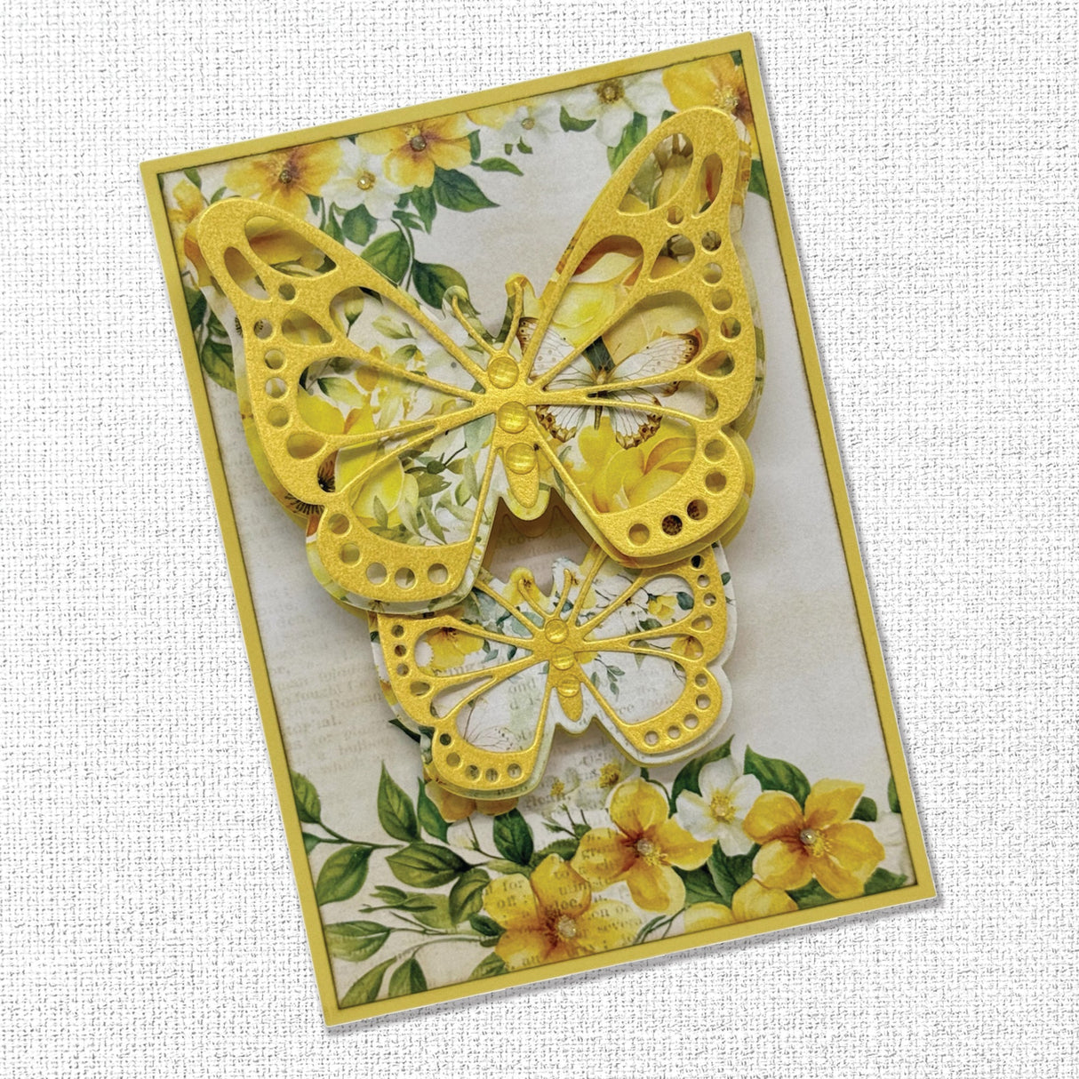 Bees & Butterflies 6x6 Paper Collection 33558 - Paper Rose Studio