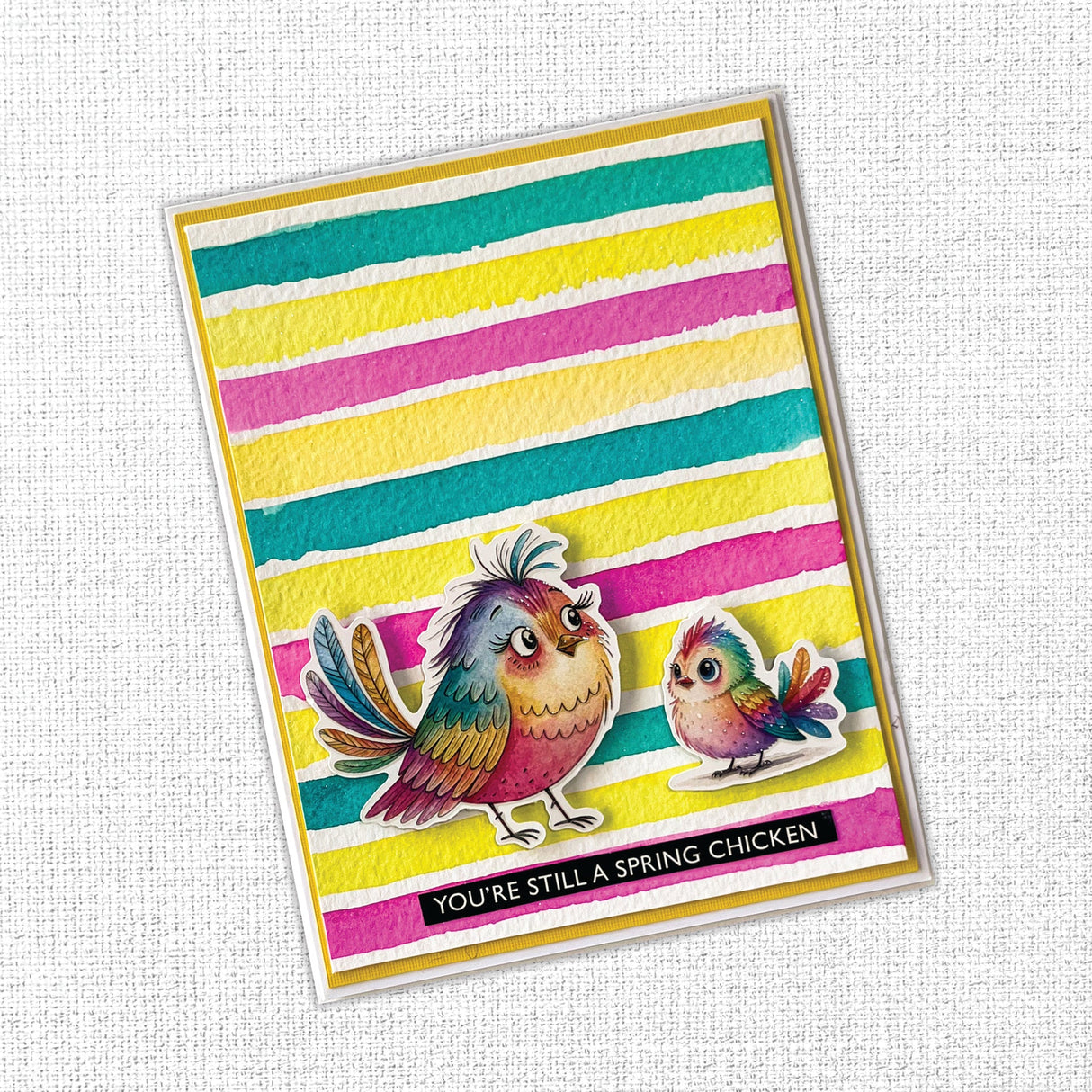 Rainbow Village 6x8" Birds Embossed Die Cuts 35350 - Paper Rose Studio