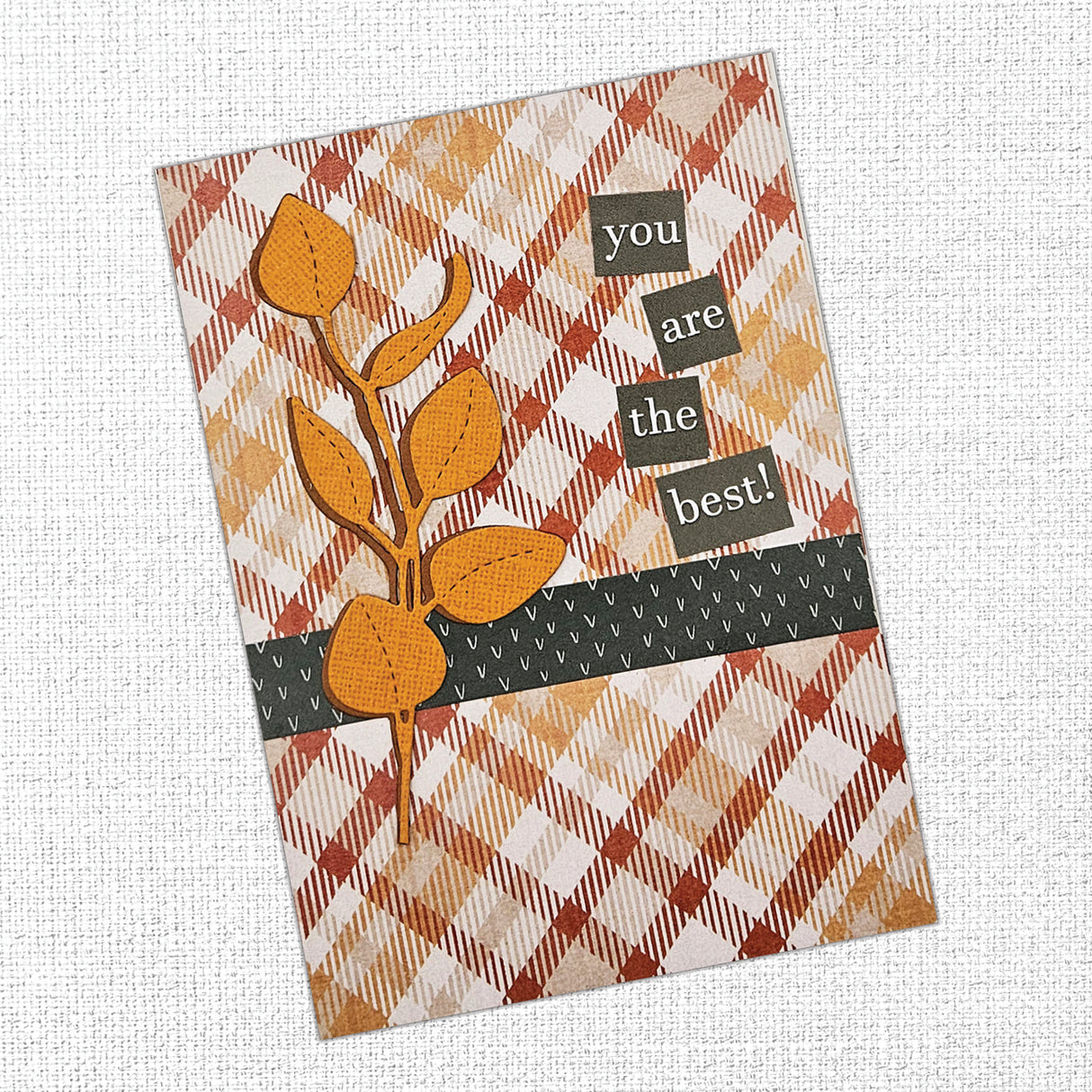 The Carrot Patch Patterns 12x12 Paper Collection 36442